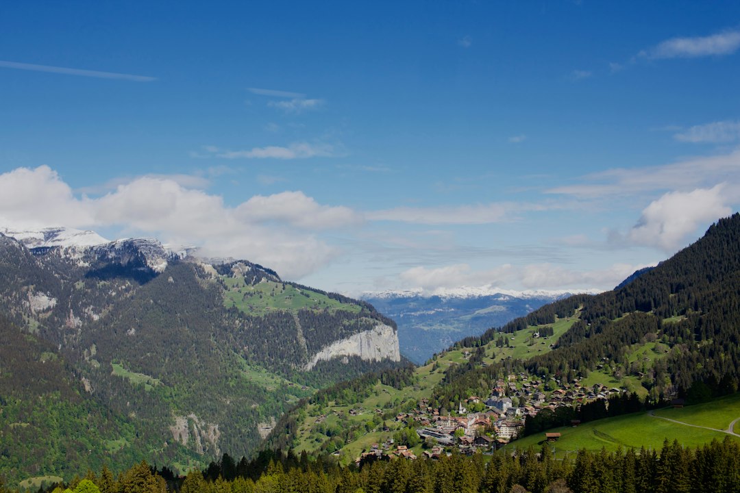 Alpine valley with green slopes, a village, and snow-capped mountains